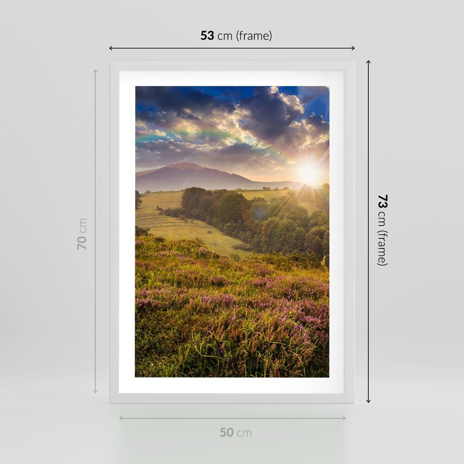 Plakat w ramie 50x70 - Pejzaż na łące - pejzaż, łąka - rama biała