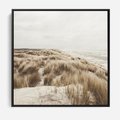 Obraz w ramie 50x50 - Nadmorskie Wydmy - fotografia, kolory sepii - rama czarna