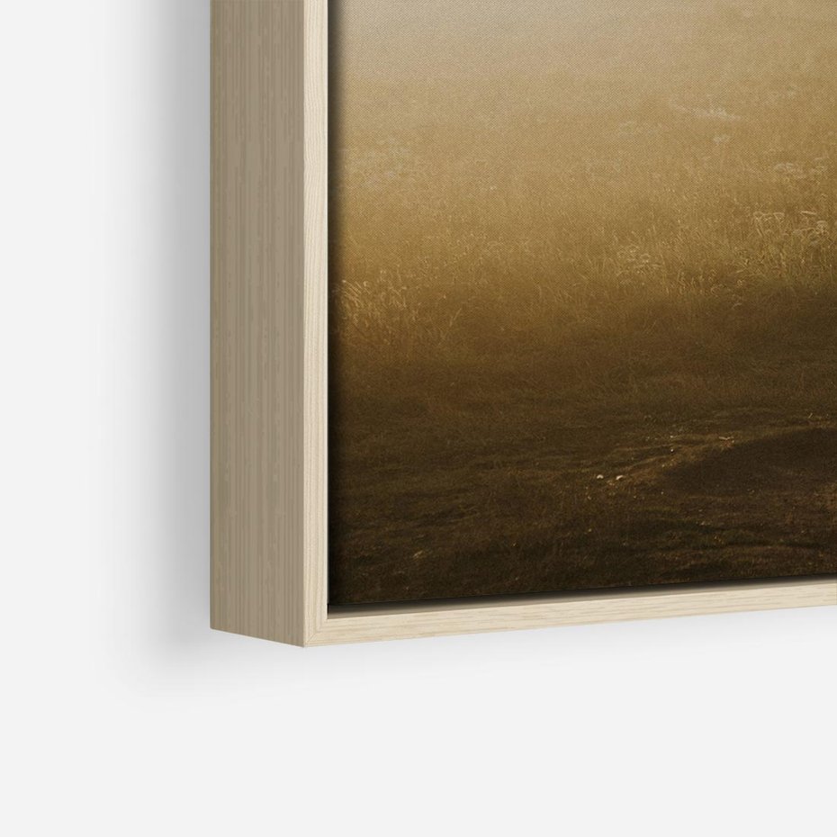 Obraz w ramie 80x80 - Mglisty zachód słońca na ławeczce - mgła, zachód - rama drewno