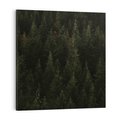 Obraz na płótnie 50x50 - Ciemny las iglasty - las, iglasty