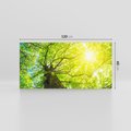 Obraz na płótnie 120x60 - Drzewo pod Słońcem: Łączność z Naturą - drzewo, słońce