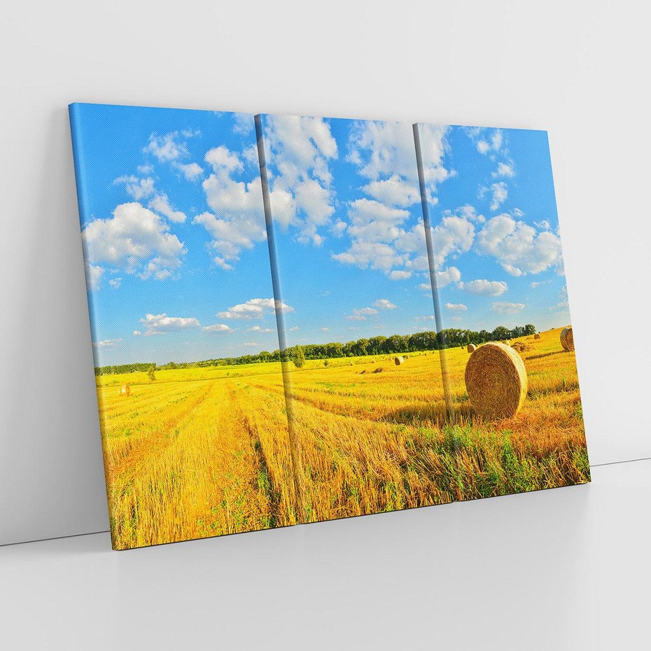 Obraz na płótnie 120x80 - Urok rolnictwa: Trawa w pełnym rozkwicie - rolnictwo, trawa