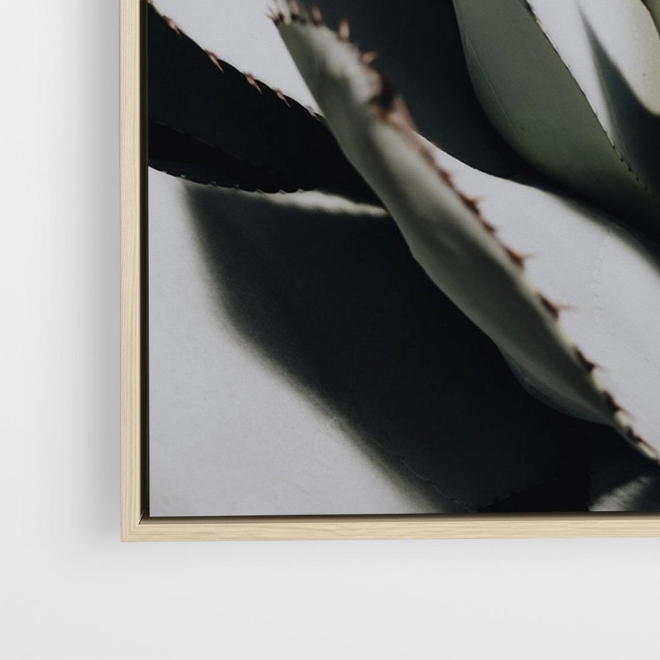 Obraz w ramie 70x50 - Sukulenty wśród kaktusów - sukulenty, kaktusy - rama drewno