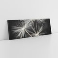 Obraz na płótnie 150x50 - Delikatność dmuchawców zbliżenie - dmuchawce, zbliżenie