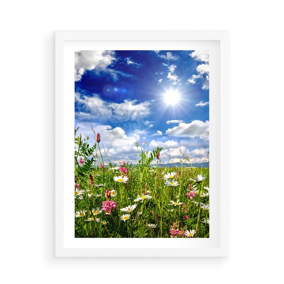Plakat w ramie 50x70 - Niebiańska łąka pełna kwiatów - łąka, niebo - rama biała