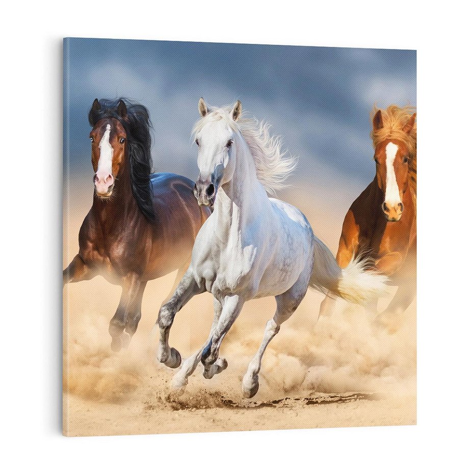 Obraz na płótnie 50x50 - Siła i elegancja - konie, galop