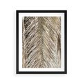 Plakat w ramie 40x50 - Boho Urok Palmy: Zbliżenie Natury - sucha palma, zbliżenie - rama czarna