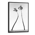 Obraz w ramie 70x100 - Samotne Palmy - czarno biała fotografia, dwie samotne palmy - rama czarna