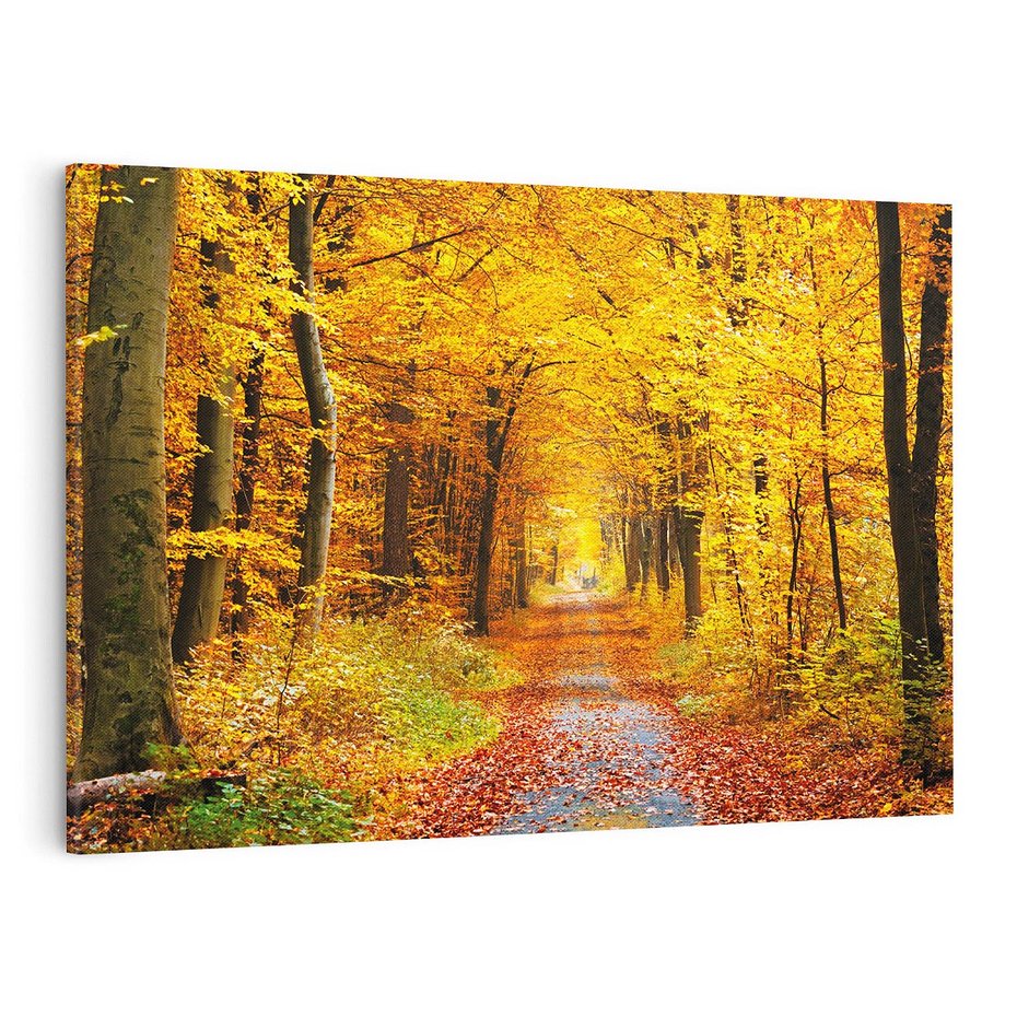 Obraz na płótnie 70x50 - Jesień w lesie - las, drzewa