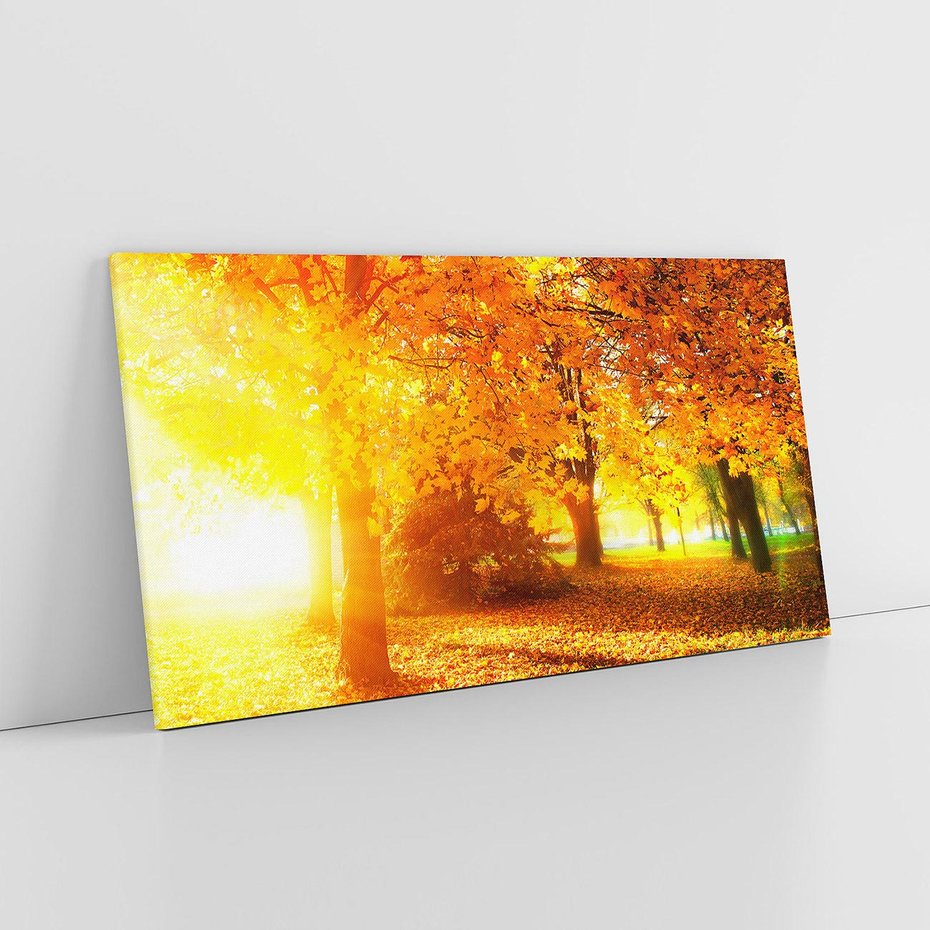 Obraz na płótnie 140x70 - Magia jesiennego lasu - las, drzewa