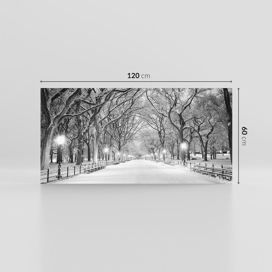 Obraz na płótnie 120x60 - cisza wśród drzew - zima, park