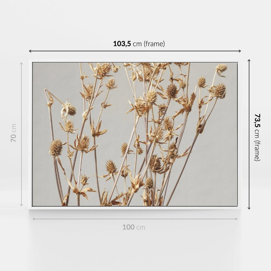 Obraz w ramie 100x70 - Delikatne gipsówki - gipsówka, suche - rama biała