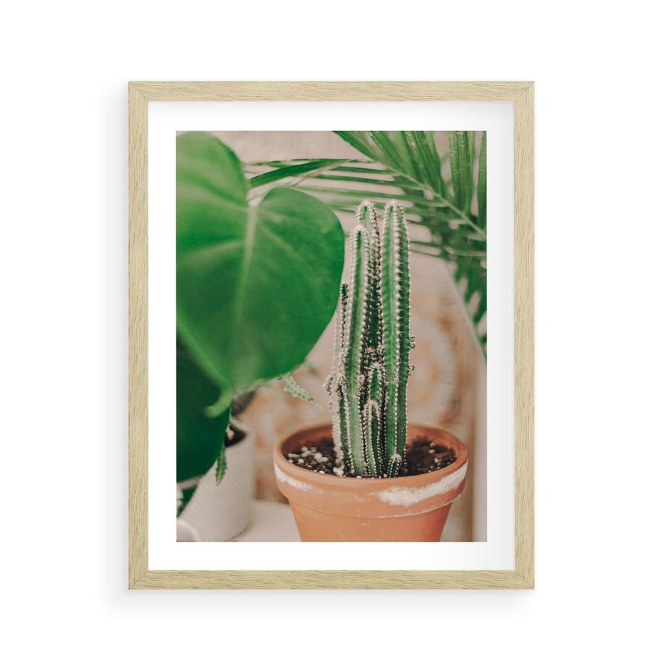Plakat w ramie 40x50 - Boho Urok - kaktus w doniczce, gliniana doniczka - rama drewno