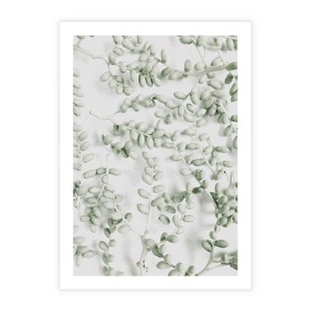 Plakat bez ramy 21x30 - Delikatność Zieleni - zielone gałązki, listki