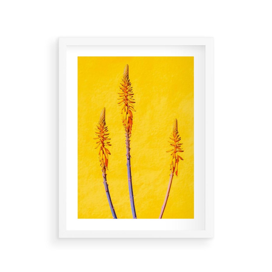 Plakat w ramie 30x40 - Radość Natury - kolor, kwiaty - rama biała