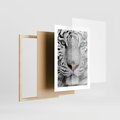 Plakat w ramie 30x40 - Magia Białego Tygrysa - biały, tygrys - rama drewno