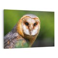 Obraz na płótnie 120x80 - Sowa nocą - sowa, ptak