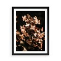 Plakat w ramie 50x70 - Hortensja - Suchy Kwiat w Sztuce - hortensja, suchy kwiat - rama czarna