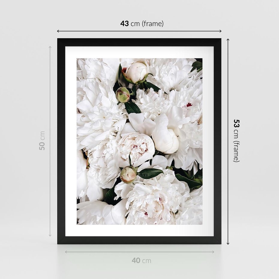 Plakat w ramie 40x50 - Modne Białe Kwiaty - białe kwiaty, płatki - rama czarna