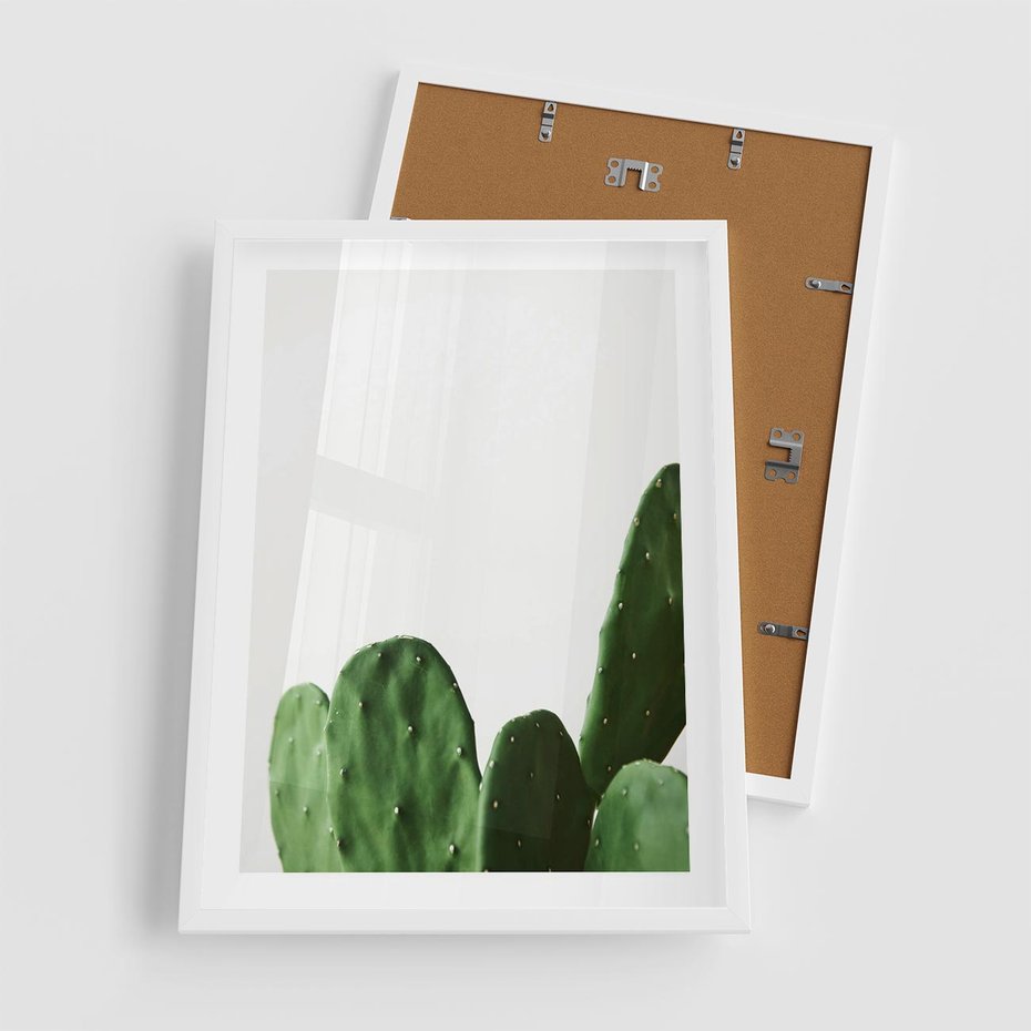 Plakat w ramie 50x70 - Minimalizm Natury - kaktus, zbliżenie - rama biała