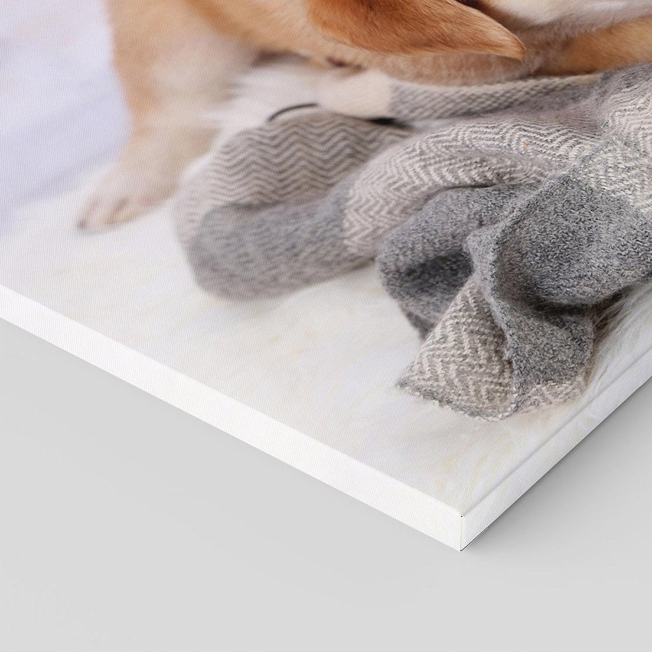 Obraz na płótnie 120x80 - Radość w zabawie: Piesek jako najlepszy przyjaciel - pies, piesek