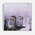 Obraz w ramie 80x80 - Spotkanie Wśród Piór - uchwycony moment, fotografia - rama biała