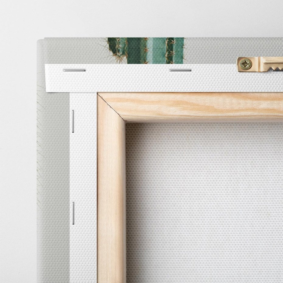 Obraz na płótnie 50x70 - Zieleń i Subtelność - kaktusy, liście