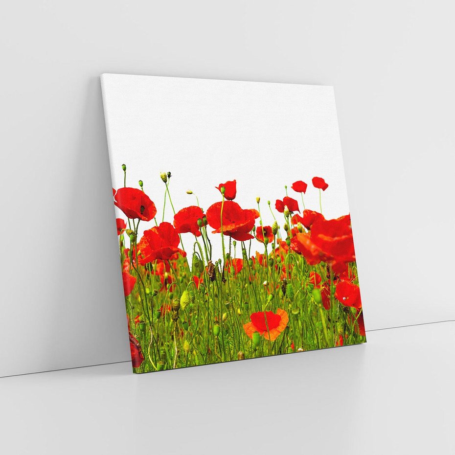 Obraz na płótnie 60x60 - Bujne maki na malowniczej łące - mak, maki