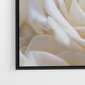 Obraz w ramie 50x50 - Białe róże piękności - białe, róże - rama czarna