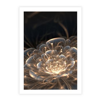 Plakat bez ramy 40x50 - Nowoczesny Kwiat - kwiat, nowoczesny