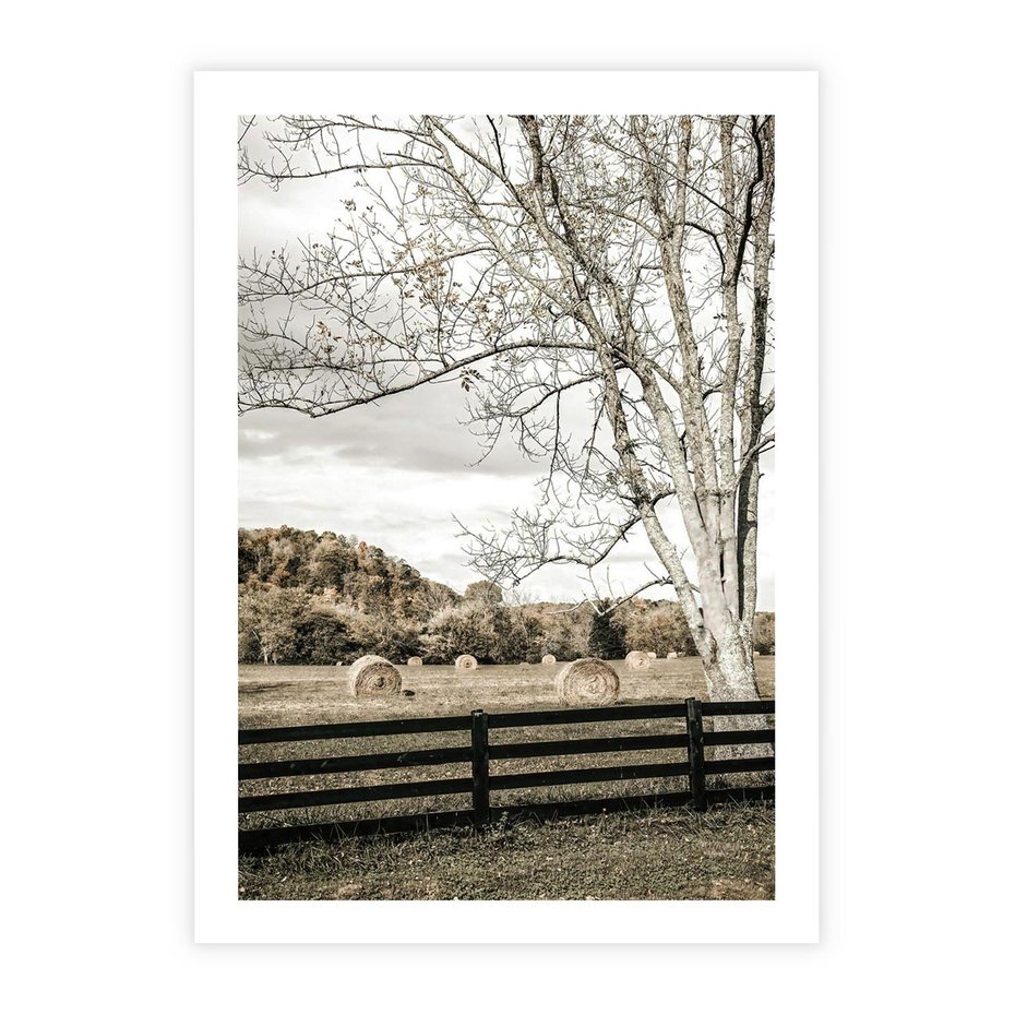 Plakat bez ramy 21x30 - Drzewa i Snopki Siana - farma, drzewa