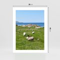 Plakat bez ramy 30x40 - Górskie Owce - góry, owce