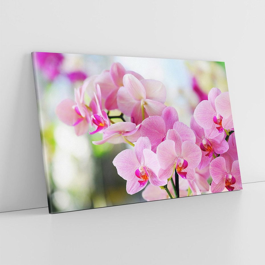 Obraz na płótnie 100x70 - Elegancja orchidei - orchidea, kwiaty