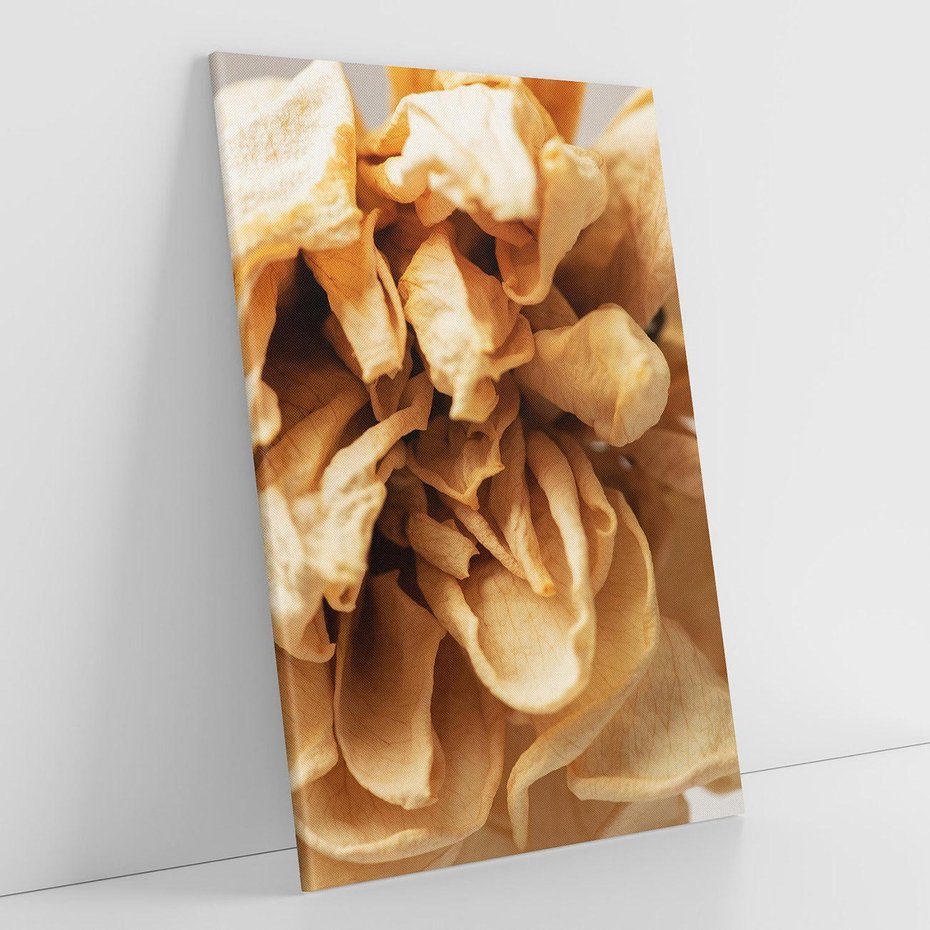 Obraz na płótnie 80x120 - Zjawiskowe zasuszone kwiaty - zasuszone, kwiaty