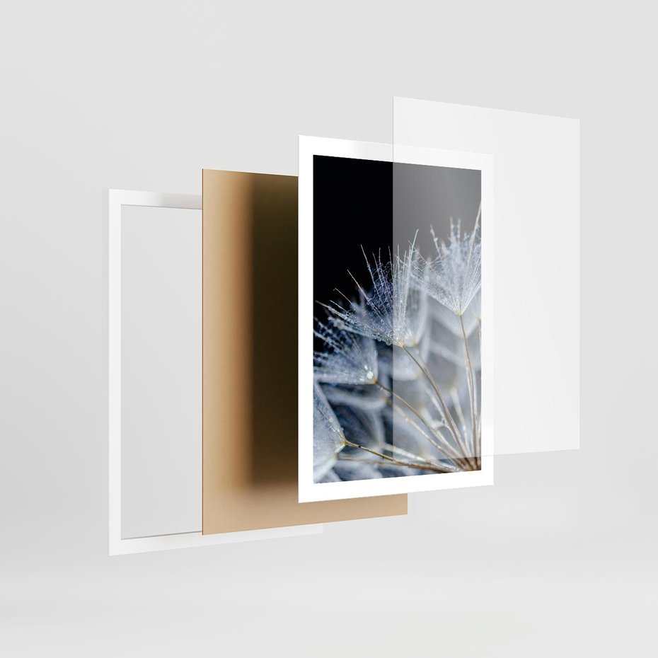 Plakat w ramie 50x70 - Makro piękno dmuchawców - makro, dmuchawce - rama biała