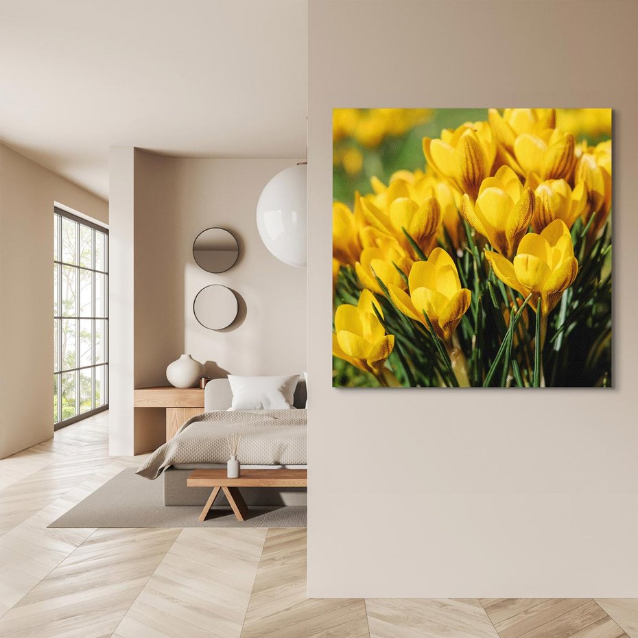 Obraz na płótnie 50x50 - Kwiatowe uniesienia natury - kwiat, kwiaty