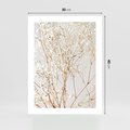 Plakat bez ramy 30x40 - Minimalistyczna Delikatność - białe kwiaty, gipsówka