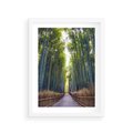 Plakat w ramie 30x40 - Urokliwa dróżka w lesie - las, dróżka - rama biała