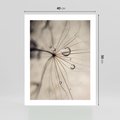 Plakat bez ramy 40x50 - Makro Uroda: Kropla na Dmuchawcu - zbliżenie makro, kropla wody na ziarenku dmuchawca