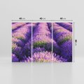 Obraz na płótnie 120x80 - Malownicze Pole Lawendy - lawenda, pole