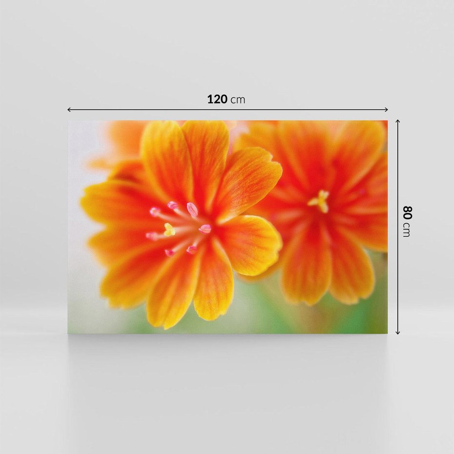 Obraz na płótnie 120x80 - Urok kwiatów - kwiat, kwiaty