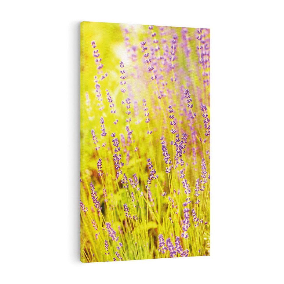 Obraz na płótnie 70x100 - Delikatność natury - lawenda, kwiaty