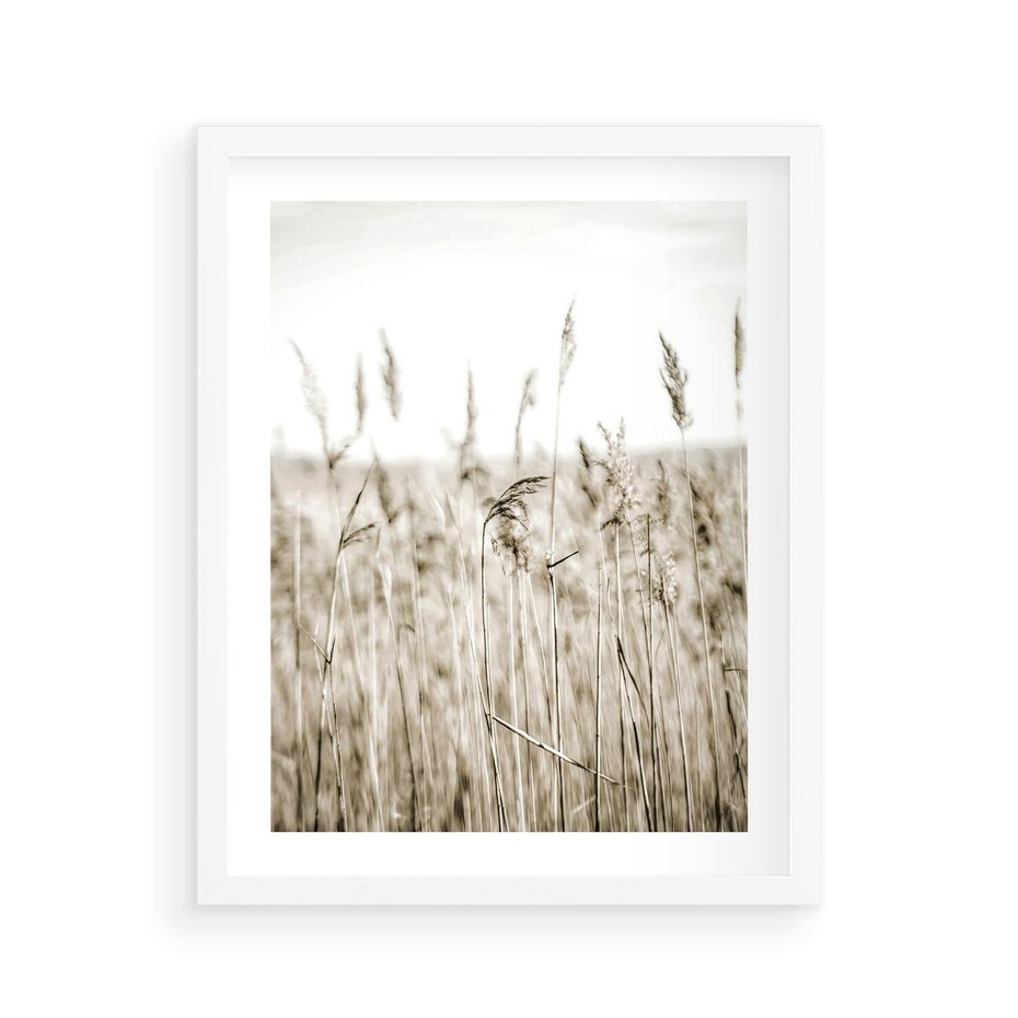 Plakat w ramie 40x50 - Nostalgiczny Pejzaż - suche trawy, pole - rama biała