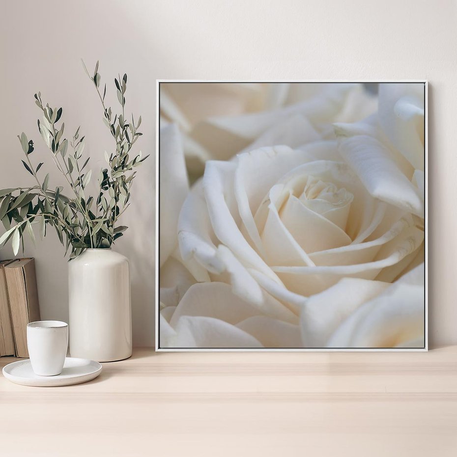 Obraz w ramie 50x50 - Białe róże piękności - białe, róże - rama biała