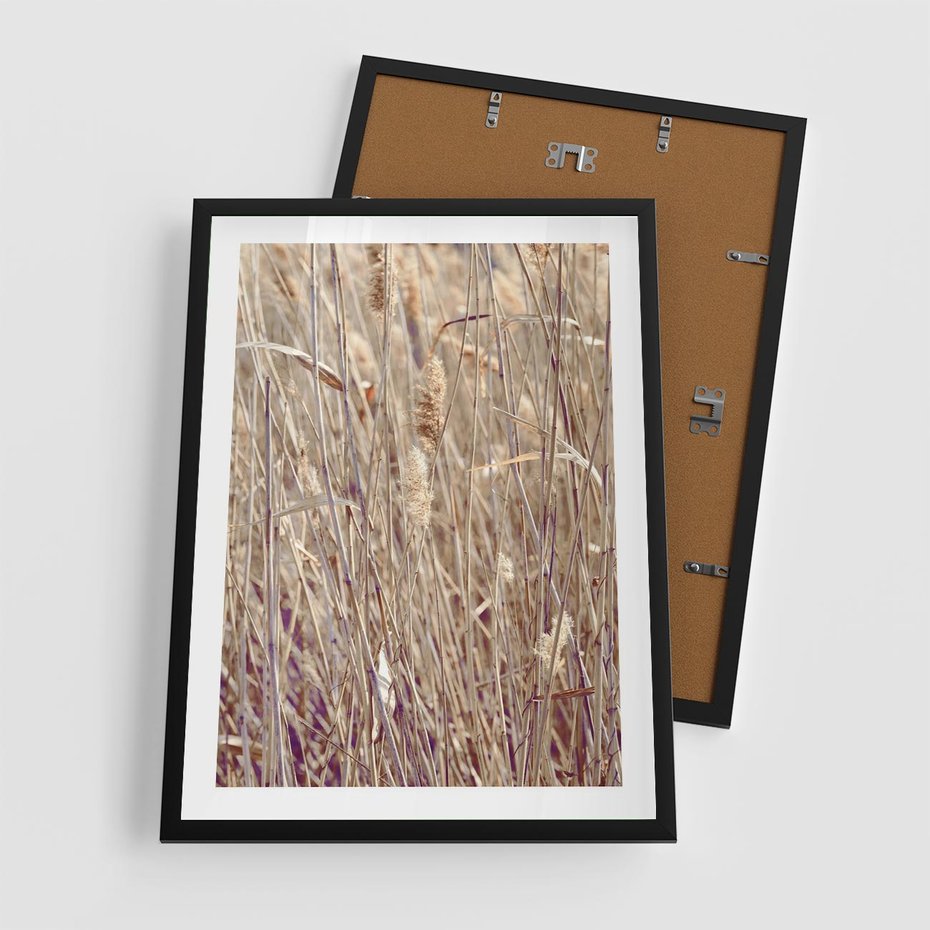 Plakat w ramie 50x70 - Suche Trawy w Wyjątkowym Stylu - suche trawy, boho styl - rama czarna