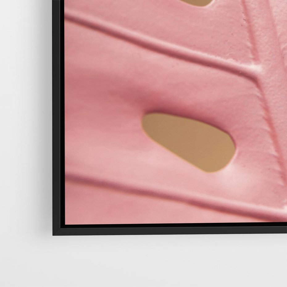 Obraz w ramie 50x50 - Różowa monstera w pełnym rozkwicie - różowa, monstera - rama czarna