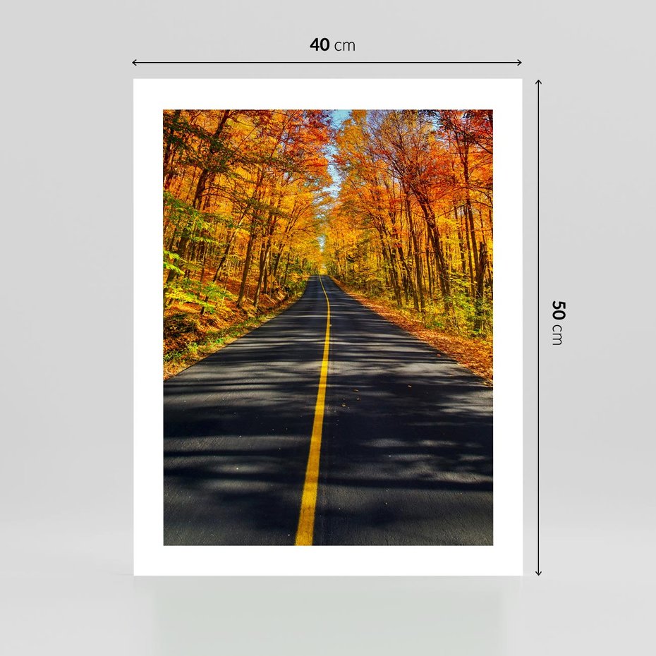 Plakat bez ramy 40x50 - Droga przez jesienny las - droga, las