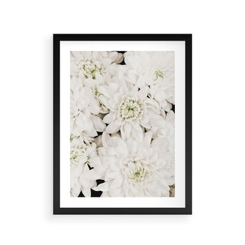 Plakat w ramie 30x40 - Białe Kwiaty: Płatki Delikatności - białe kwiaty, zbliżenie - rama czarna