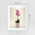 Plakat w ramie 40x50 - Delikatność storczyka orchidei - storczyk, orchidea - rama biała