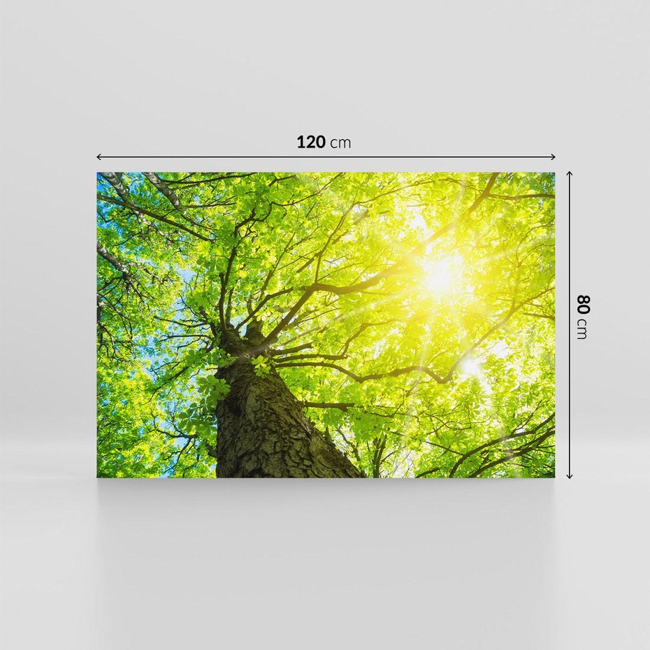 Obraz na płótnie 120x80 - Drzewo pod Słońcem: Łączność z Naturą - drzewo, słońce